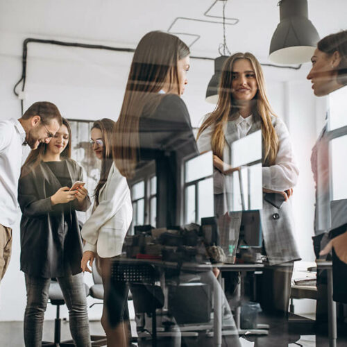 martkgewinner-teamwork-deluxe